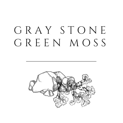 Gray Stone Green Moss