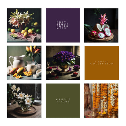 The Exotics Collection - Hand Poured Soy Candle Flight